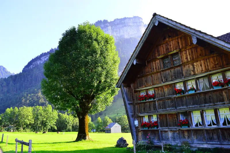 Ein Appenzeller Holzhaus mit Blumen vor den Fenstern, daneben ein Baum, dahinter die Felswände des Alpsteins.