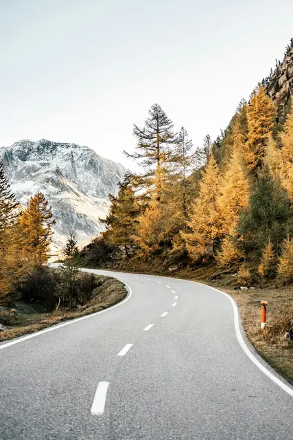 Eine leere, kurvige Strasse führt zwischen herbstlichen Lärchen auf verschneite Berge zu.