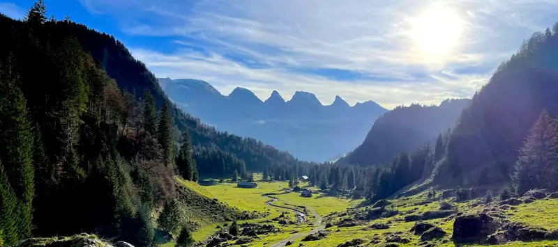 Blick in ein Tal mit Wald und Bergen im Gegenlicht, aufgenommen bei Alt St. Johann.